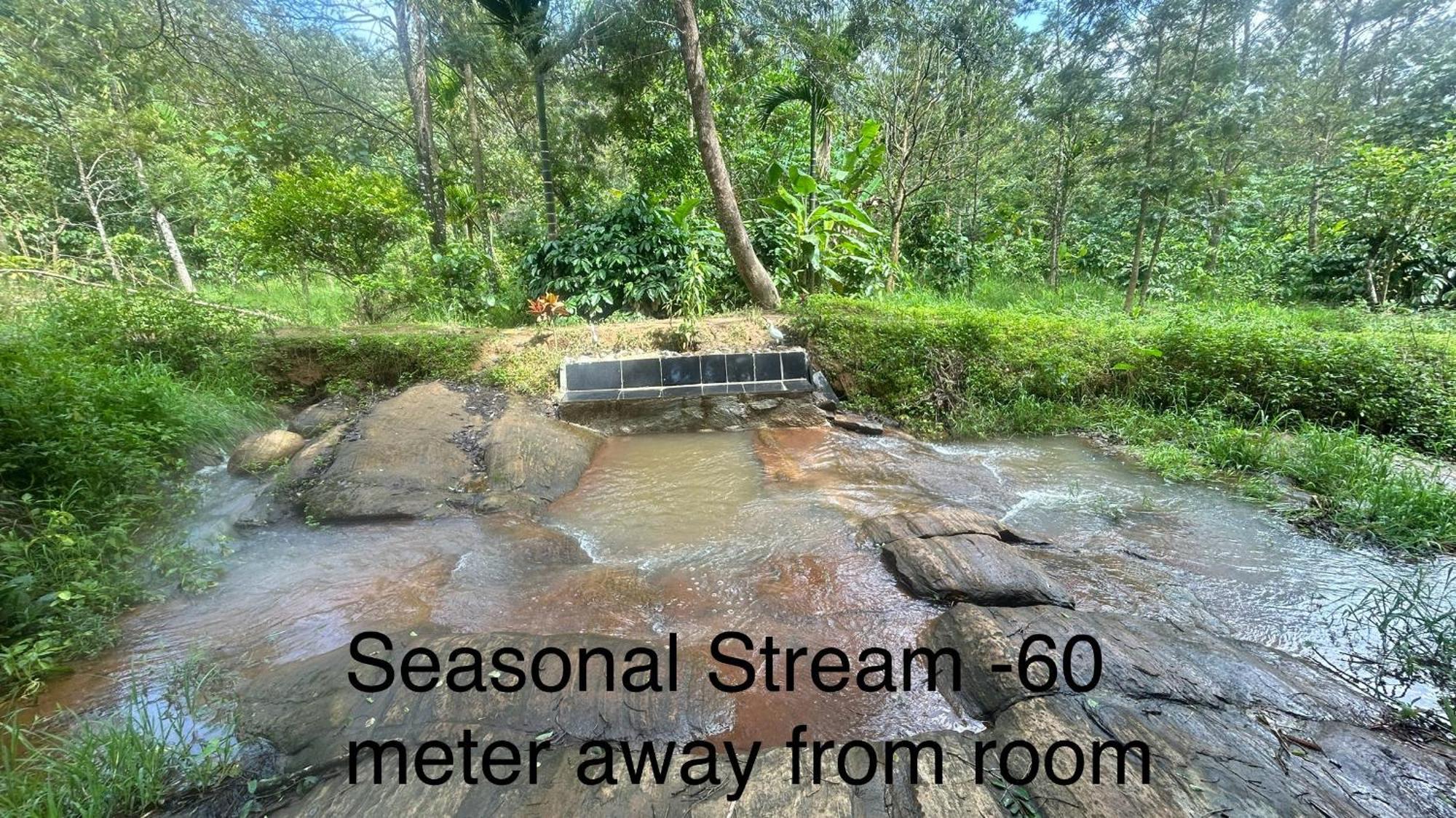 Doddakallu Betta Homestay Coorg Somvārpet Екстериор снимка