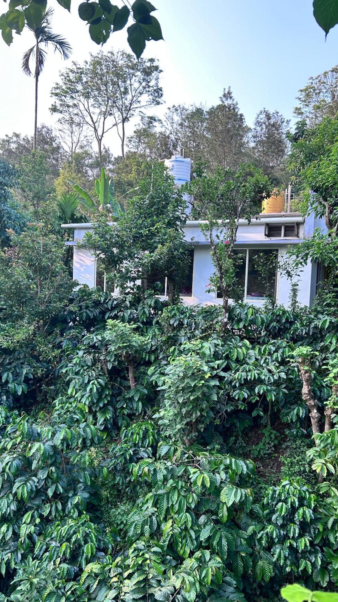 Doddakallu Betta Homestay Coorg Somvārpet Екстериор снимка